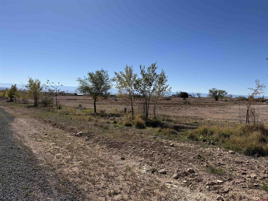 Single Family - TBD Lot 7 Stardust Lane, Cedaredge, CO