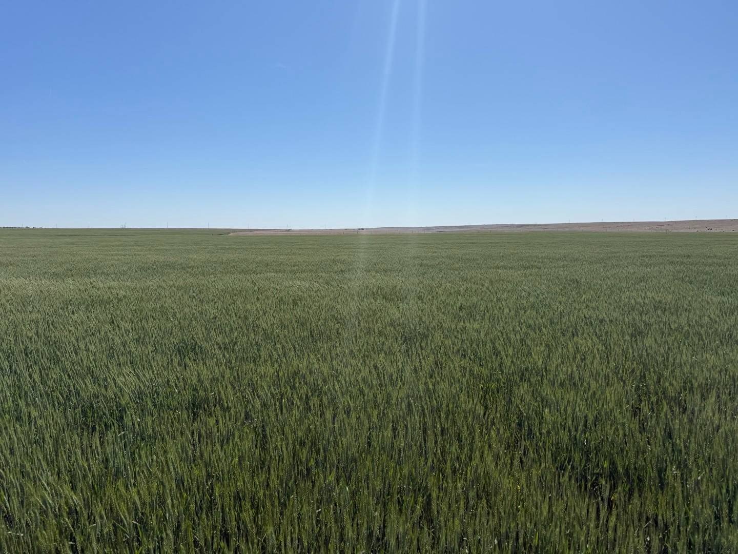 Other - 000 CO RD, Atwood, KS