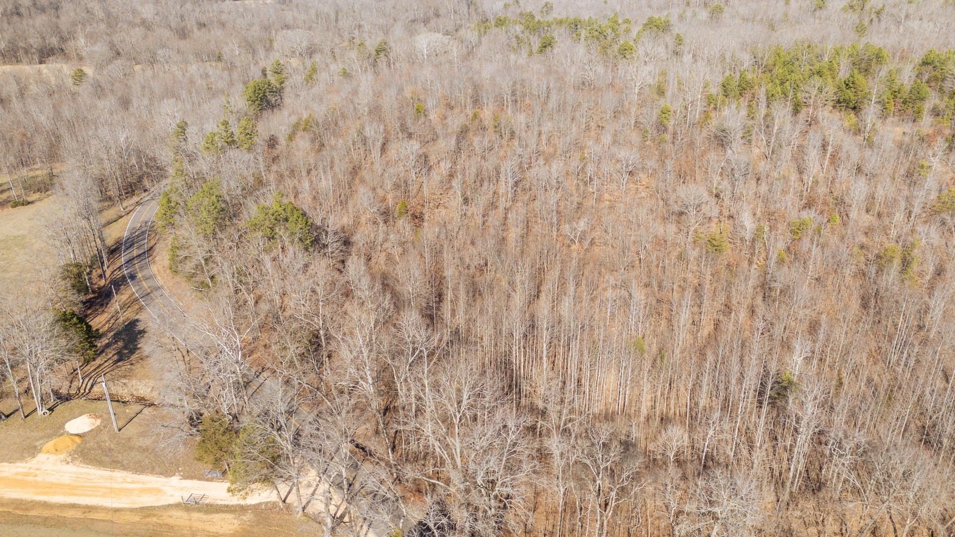 Other - 3310 HOLLAND CREEK Rd, Savannah, TN