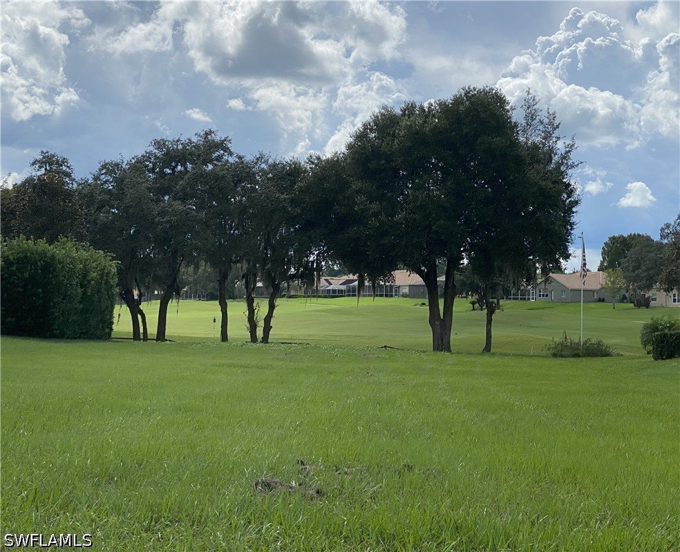 Other - 13423 Trailing Moss Drive, Dade City, FL