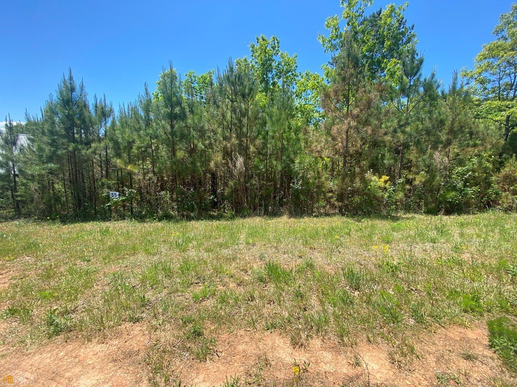 Other - Lot 55 Village Loop, Blairsville, GA