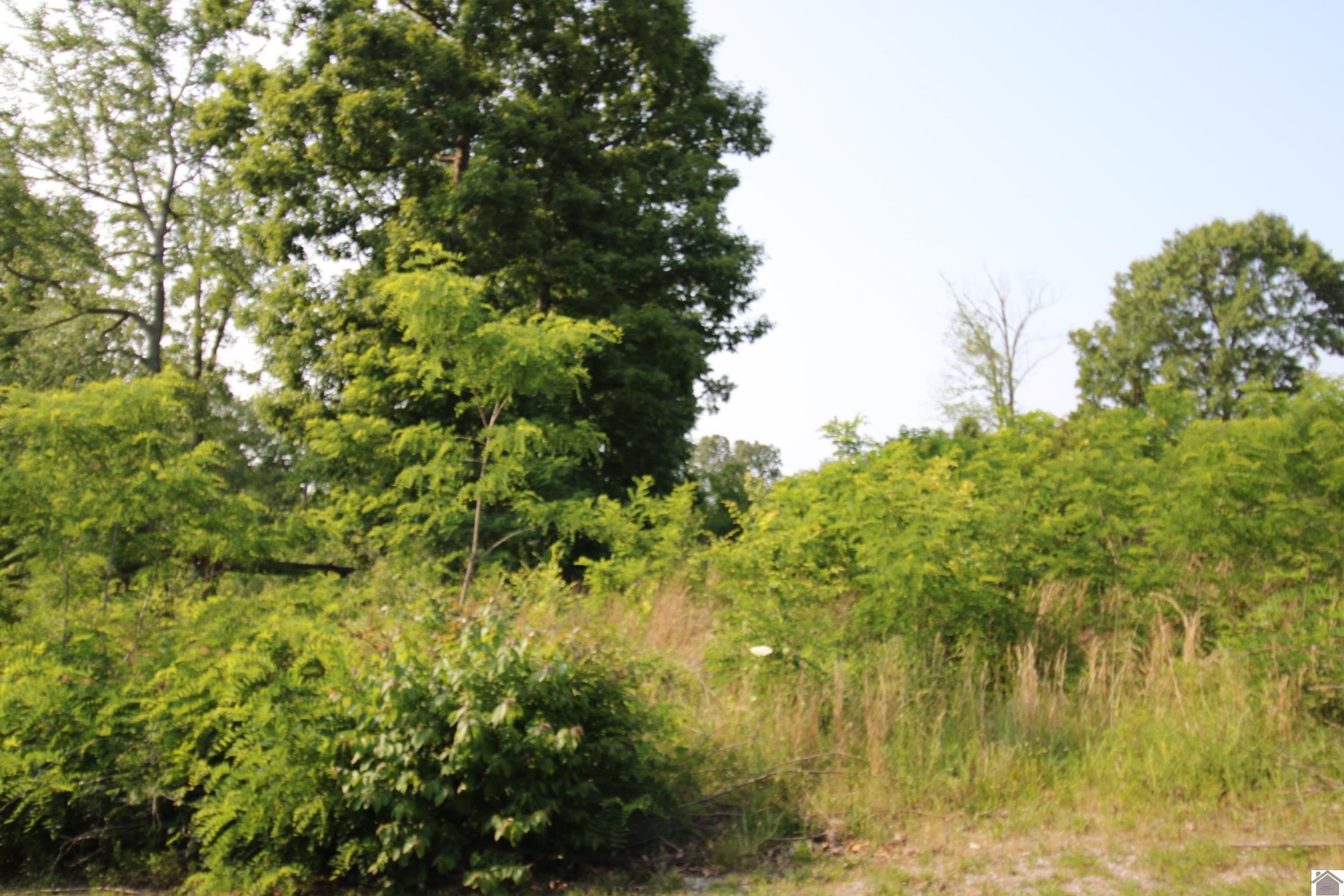 Other - 00 Lillie Ln, Gilbertsville, KY