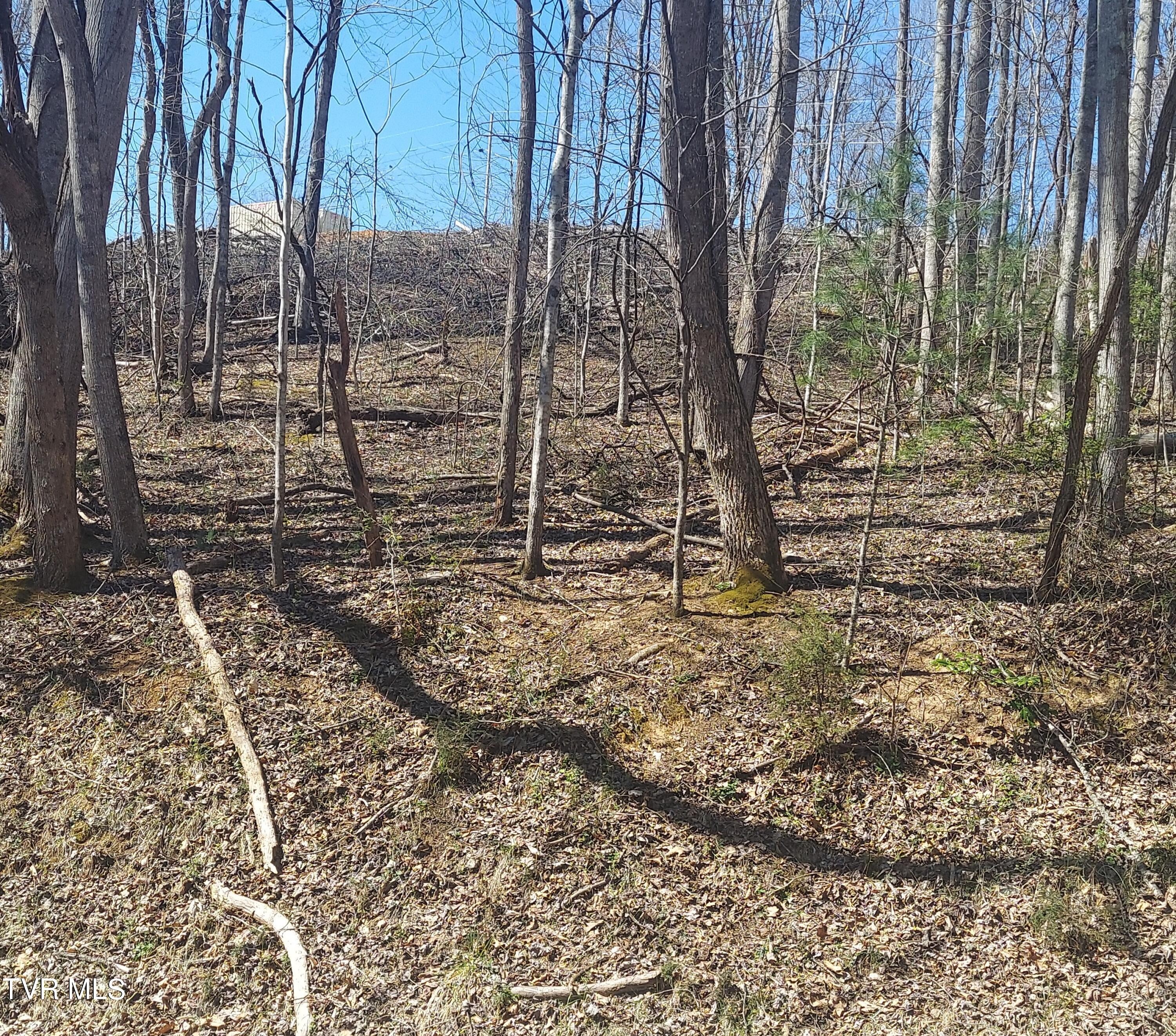 Other - Ox Bow Rd lot: 181, Unicoi, TN