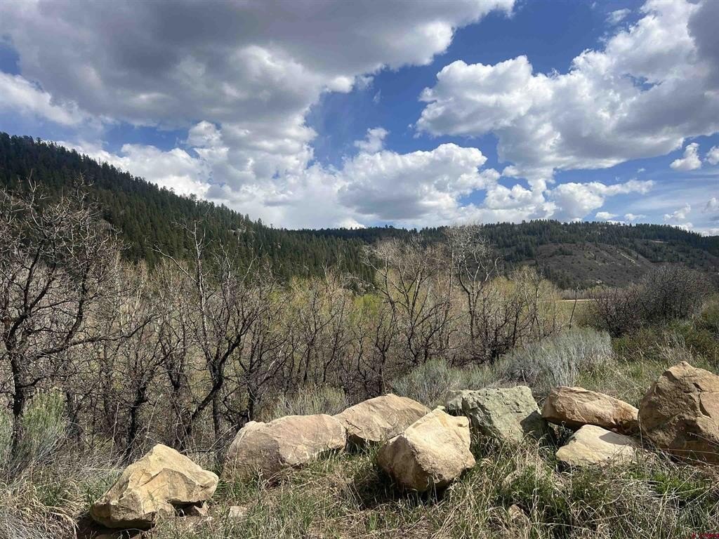 Single Family - 21501 Hwy 145, Dolores, CO