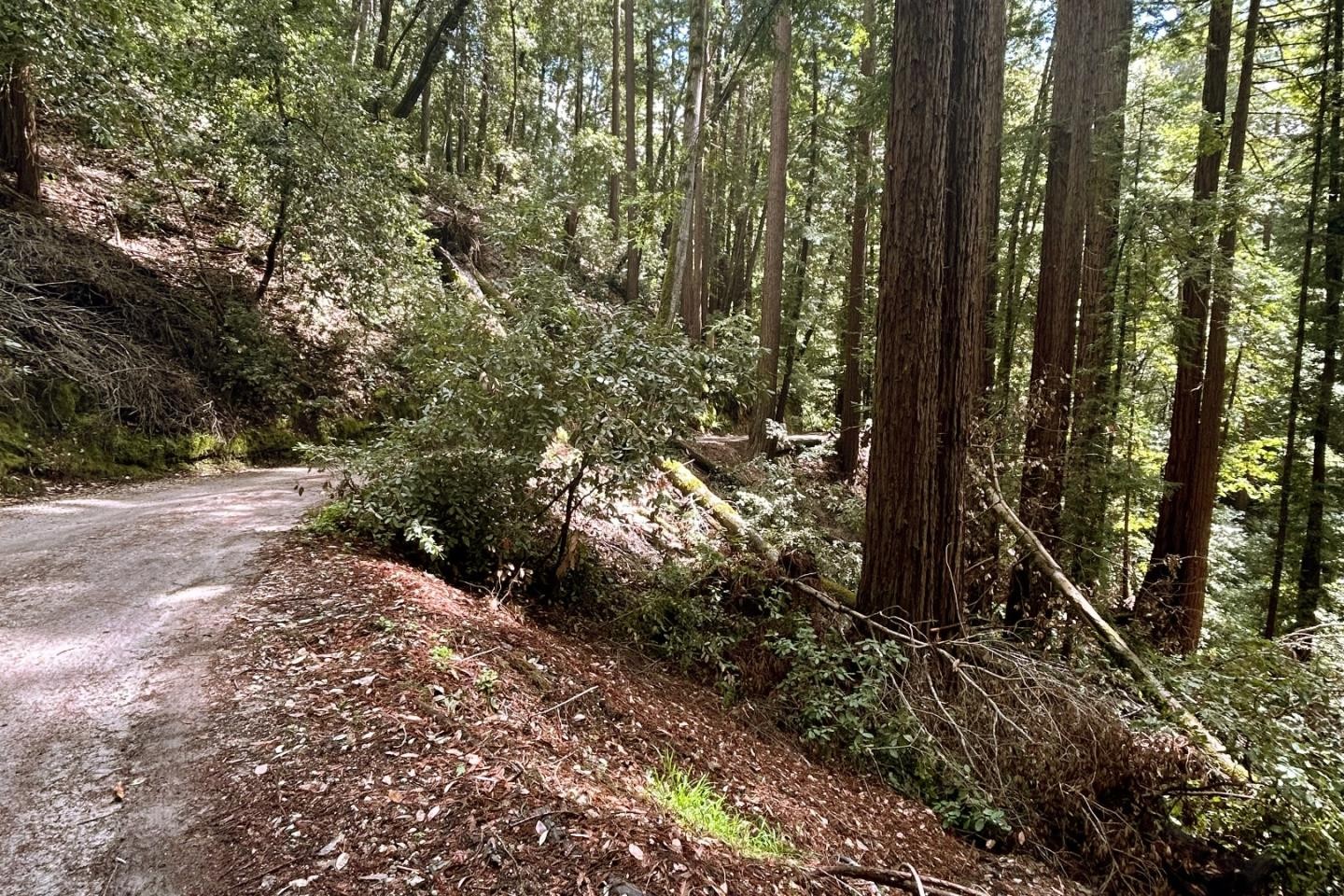 Other - 0 Hermit Ranch RD, BEN LOMOND, CA