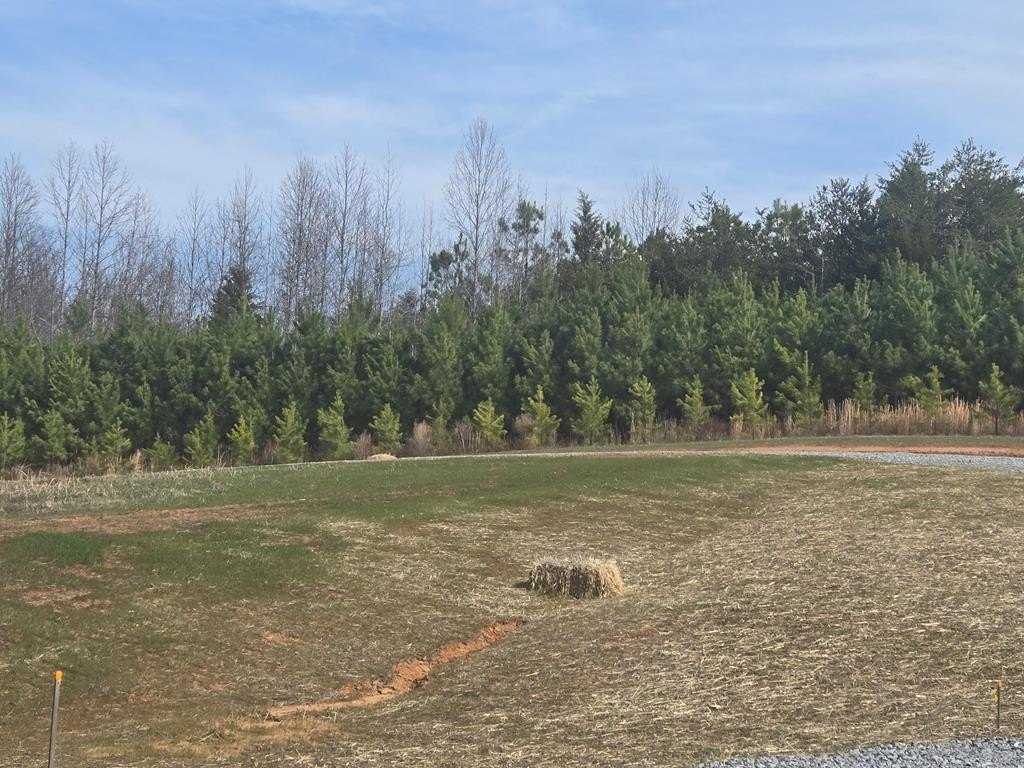 Other - Greenbay Rd., Rice, VA
