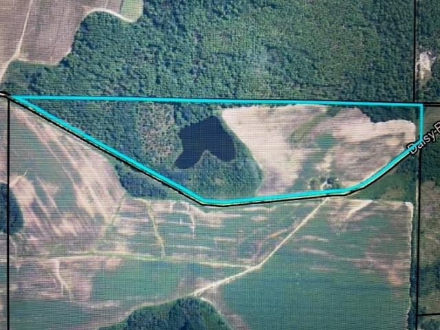 295 Daisy Rd (41 85 Acres with Pond)