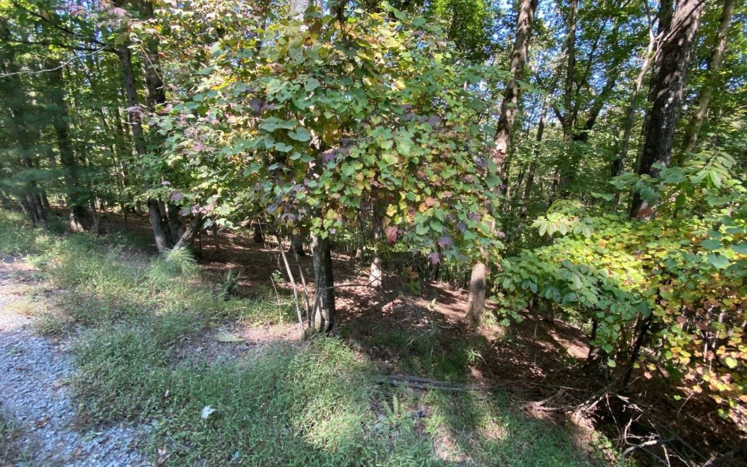 Other - L811 Myna Drive, Ellijay, GA