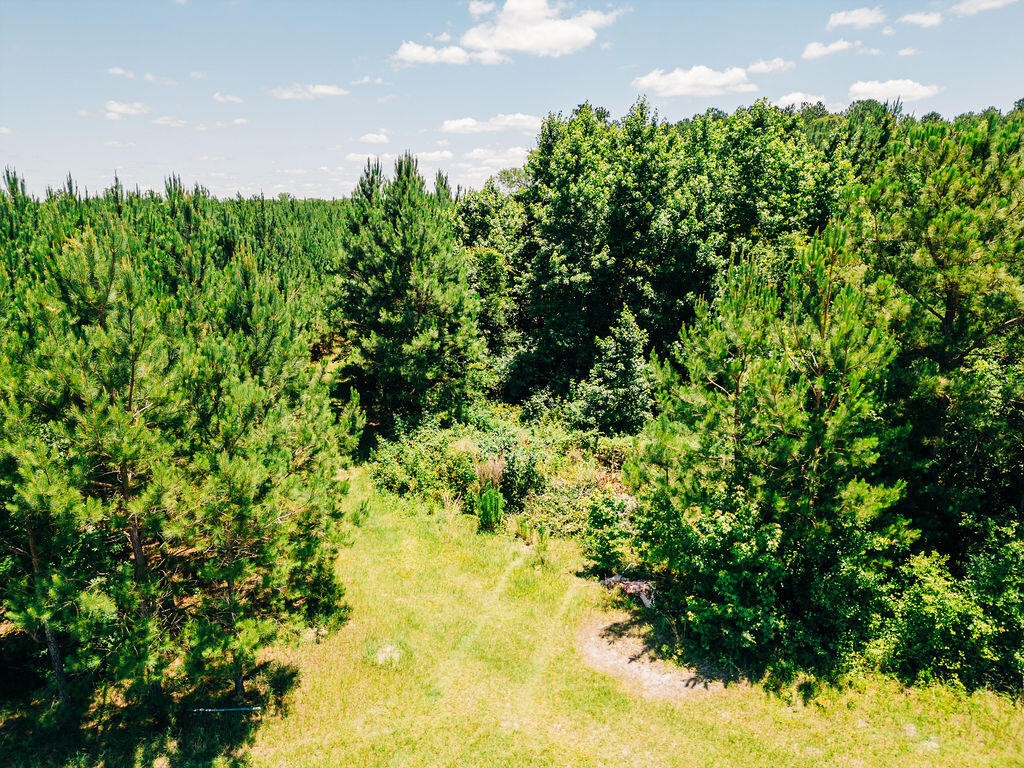 Other - Varnadoe Road, Islandton, SC
