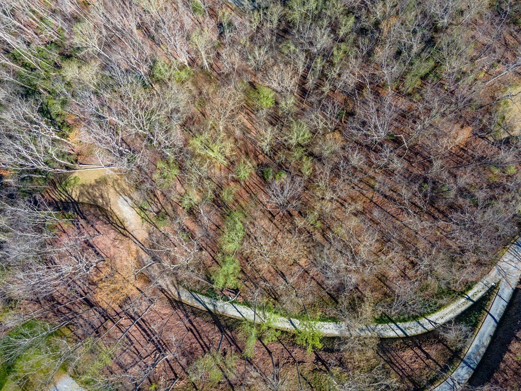 Other - Bryson Gap Preserve lot: 8, Bryson City, NC