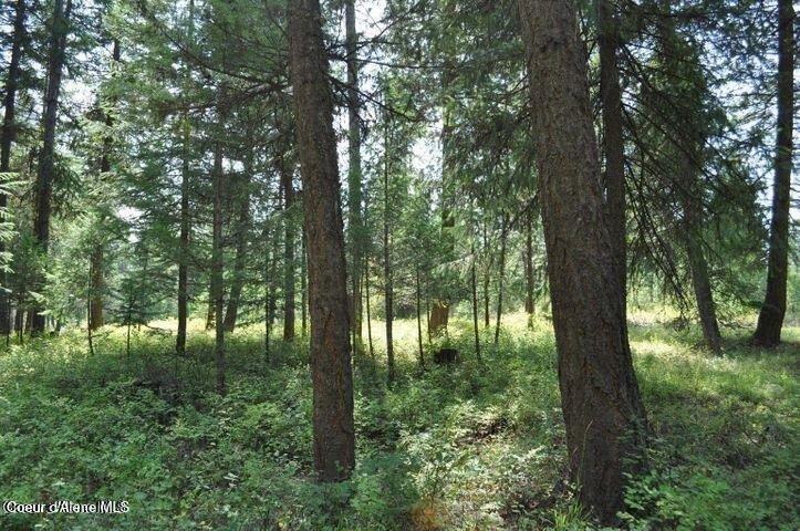 Other - 39 Forest Ridge Rd, Blanchard, ID