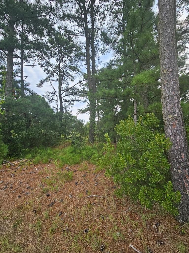 Other - LOT 111 HIBISCUS DR, CHINCOTEAGUE, VA