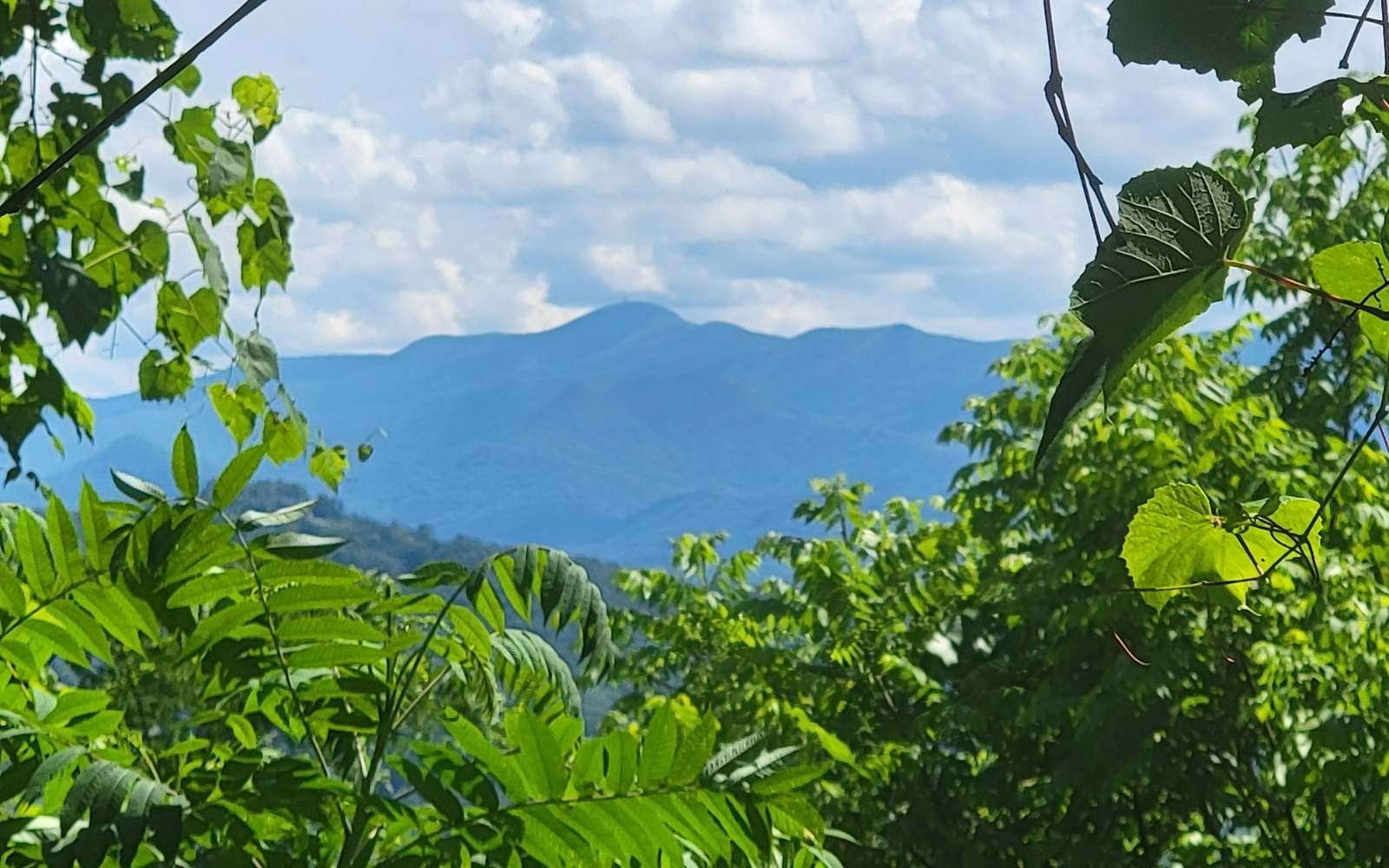 Other - 5 Ridges Overlook, Hayesville, NC