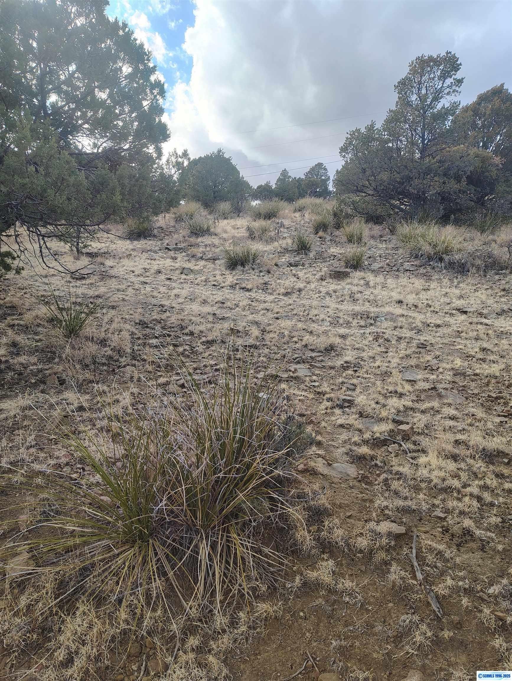 Other - Cottonwood Road, Silver City, NM