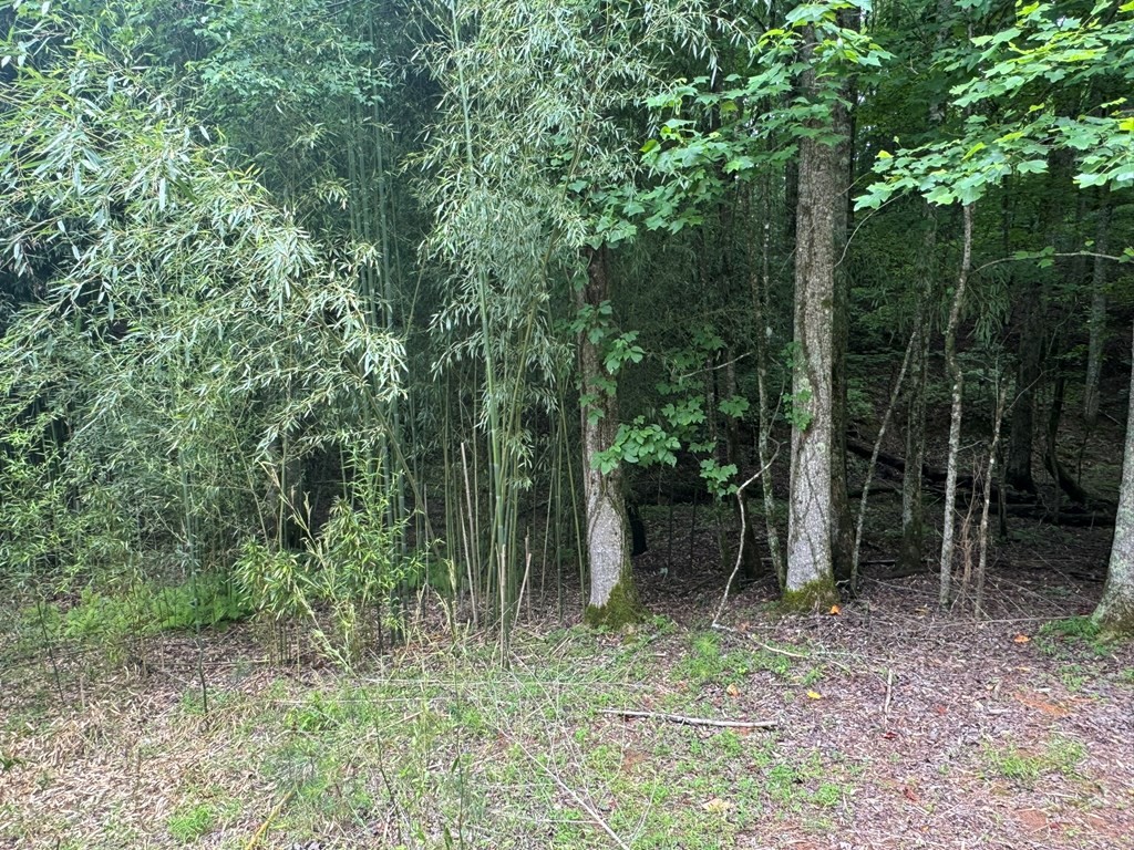 Other - Newport Drive lot: 1721, Ellijay, GA