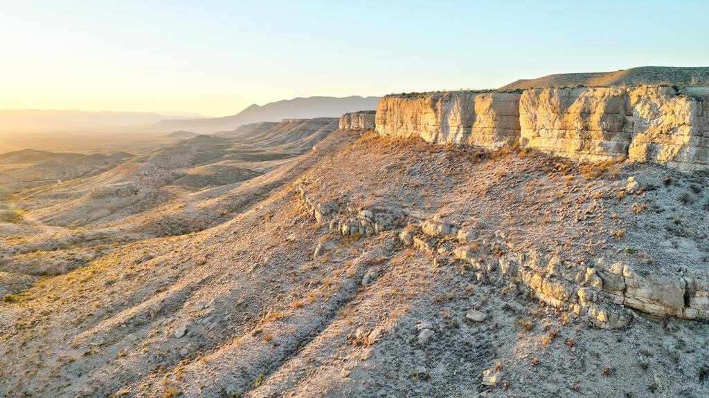 Other - 135 Claret Cup, Terlingua, TX