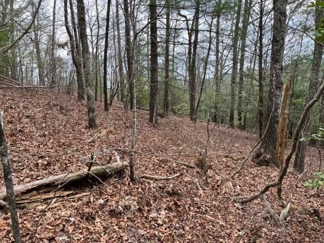 Other - Lot 33 Sahkanaga Dr, MURPHY, NC