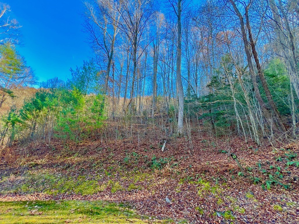 Other - 22 Walker Ridge, Mineral Bluff, GA