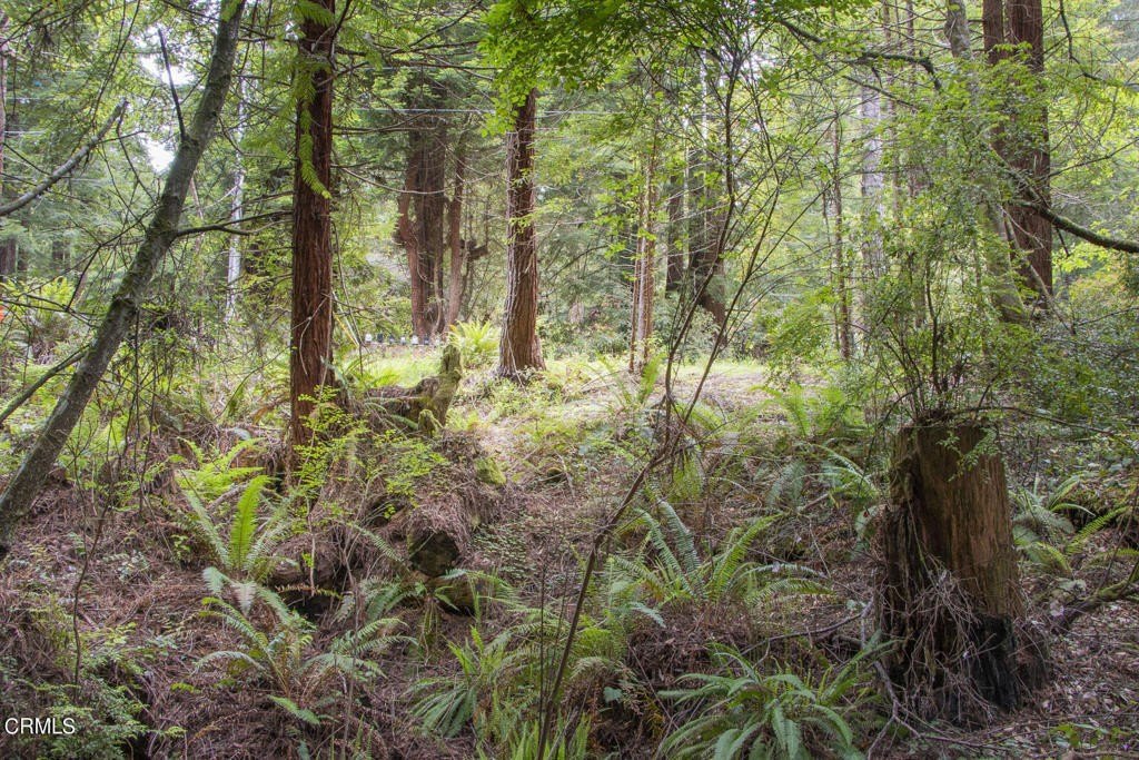 Other - 32100 Forest Lane, Fort Bragg, CA