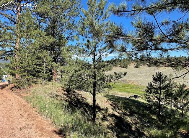 Other - 125 & 137 Hillside Drive, Florissant, CO