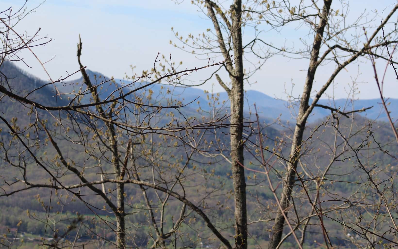 Other - Lt 11 The Pinnacle, Hayesville, NC