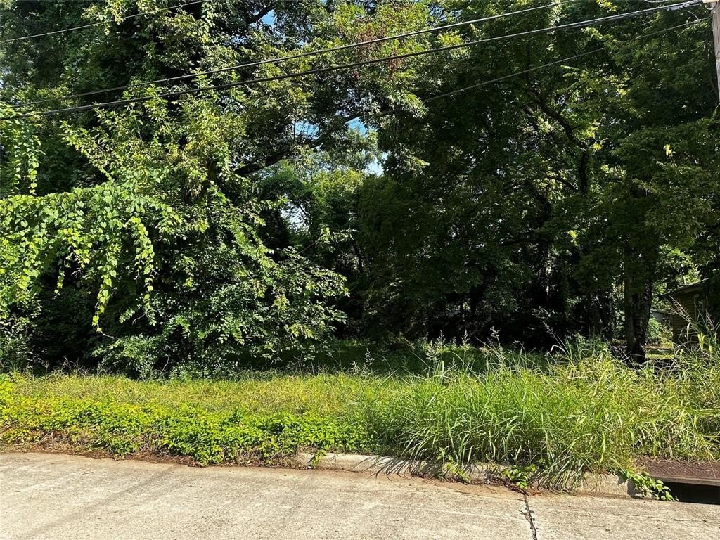 Plots and Land - 136 E Gregg Street, Shreveport, LA
