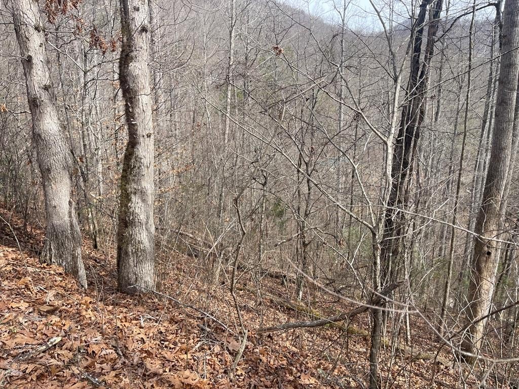 Other - Laurel Falls Rd. Lot 6 Blk 1 Eden Valley, Franklin, NC