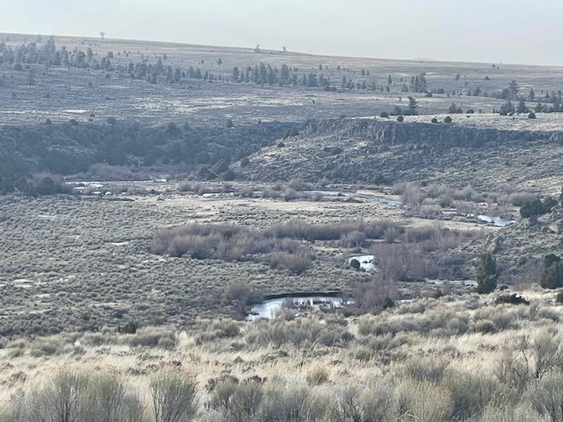 000 Forest Rd 118  