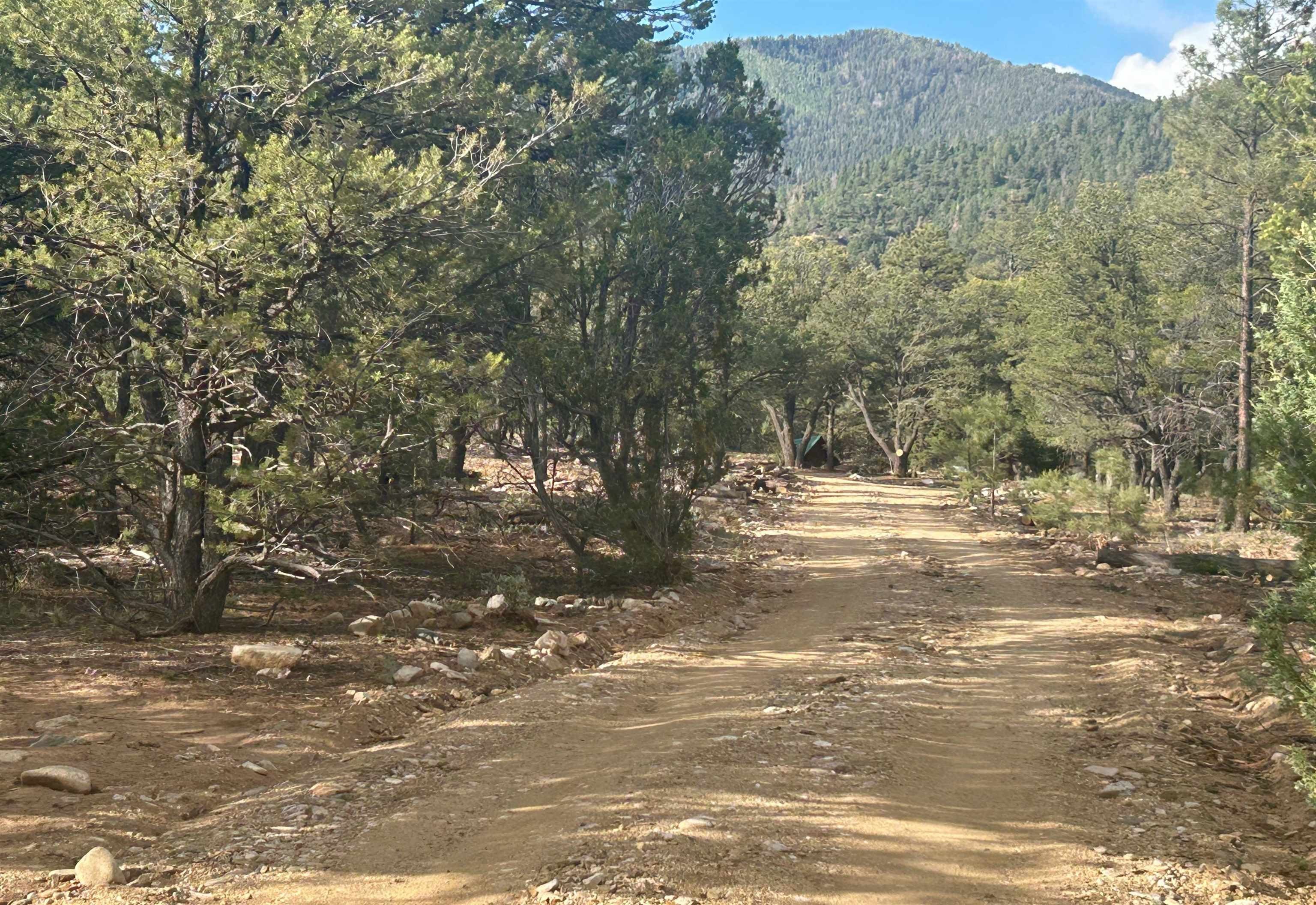 Other - Tract B 266 Gallina Canyon Road, Valdez, NM