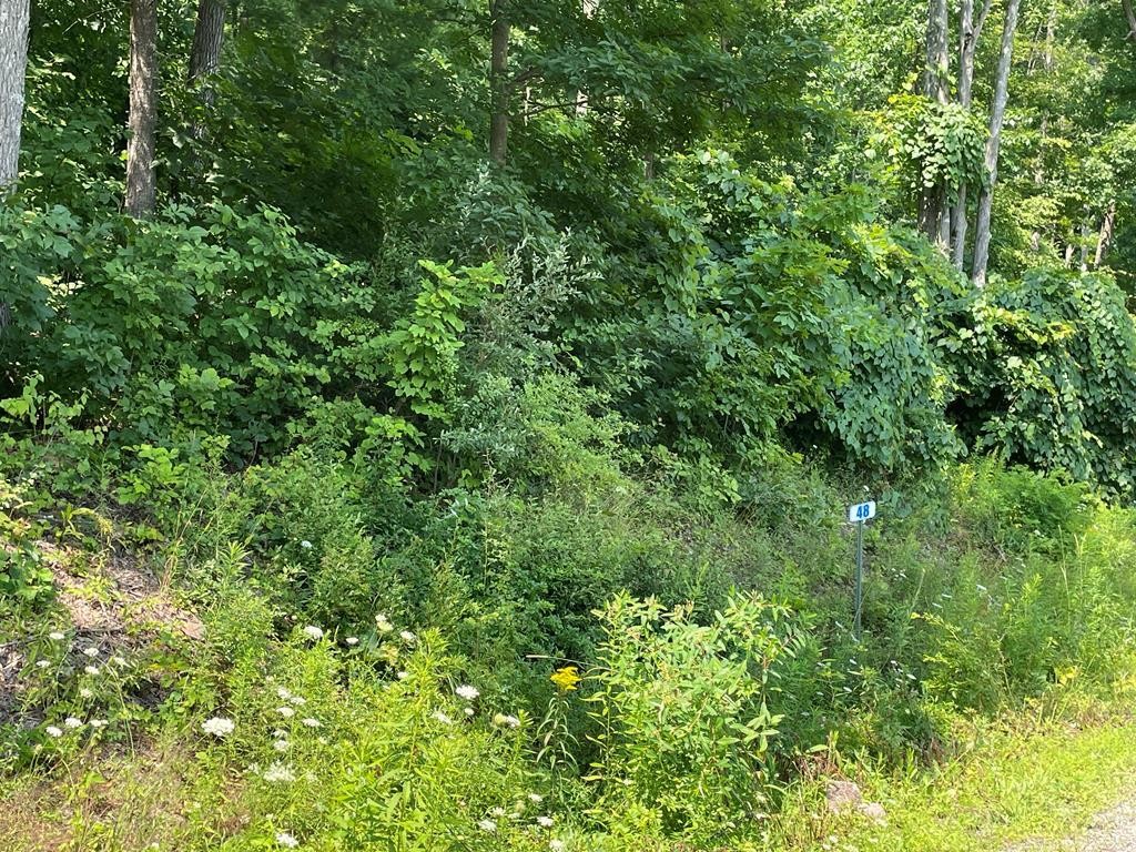Lot 48 Hemlock Hls Rd