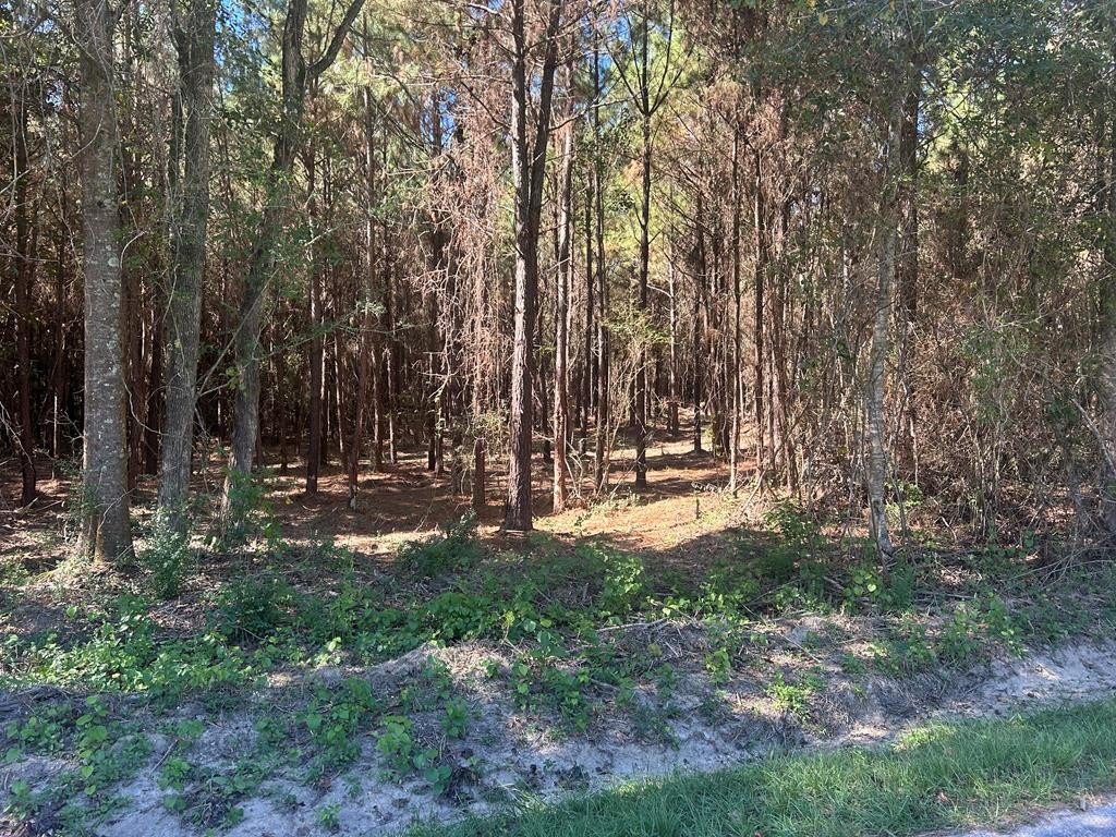Other - 0 Pine DR., Laurel, MS
