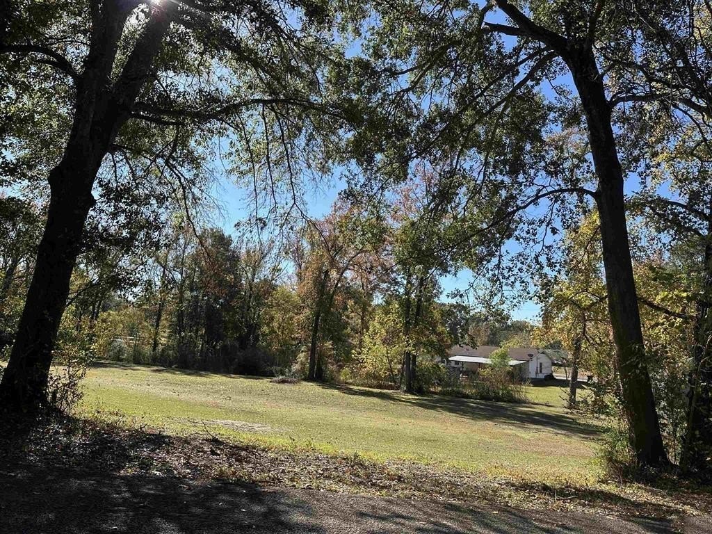 Plots and Land - Tbd N Cecelia, Mount Pleasant, TX