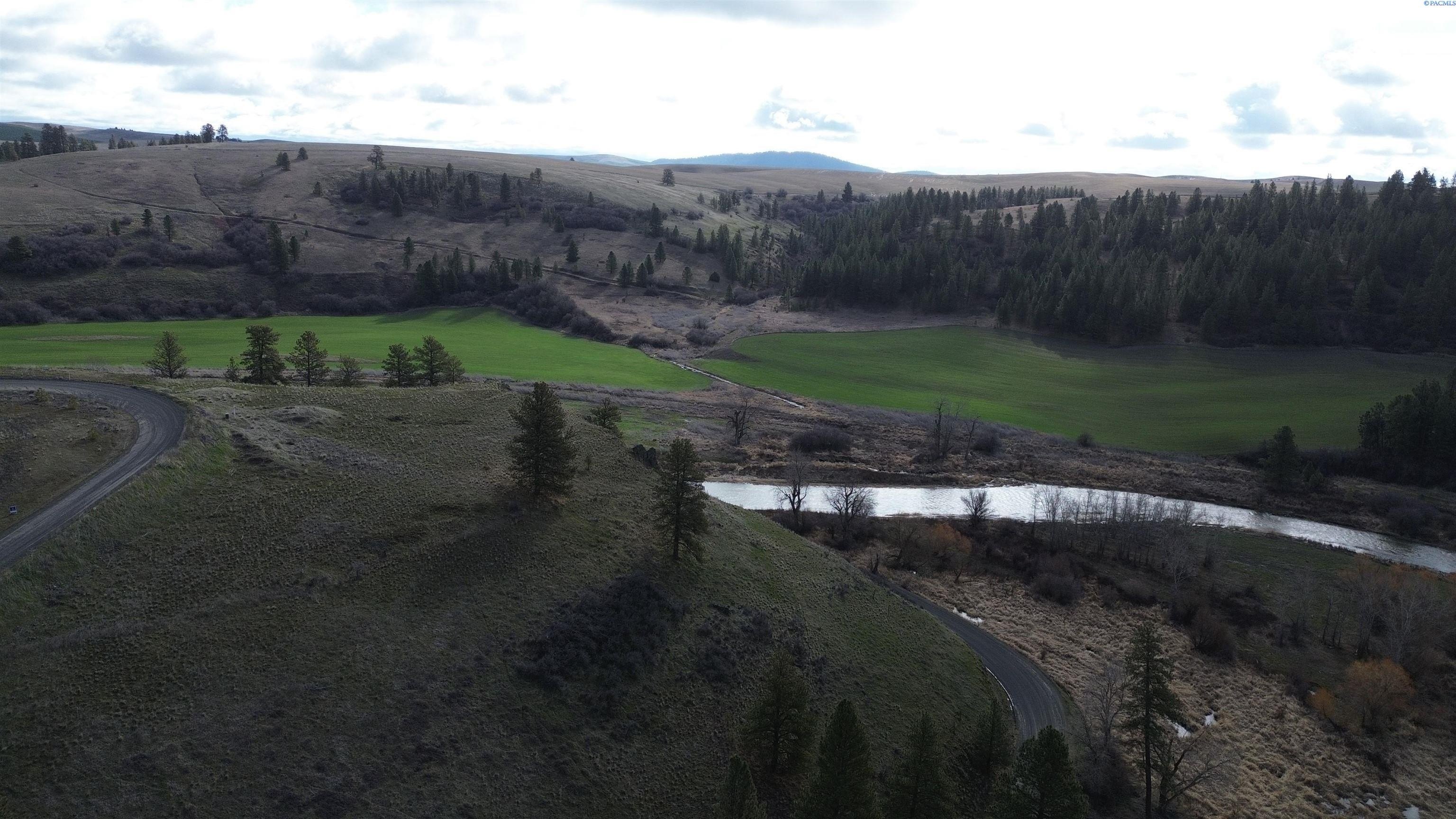 Other - 33 Red Tail Ridge, Colfax, WA