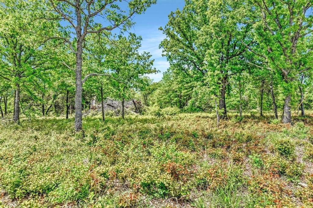 Other - Doe Lane, Nocona, TX