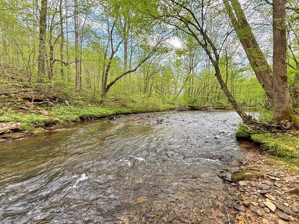 Other - Spiva Cove lot: 5, Blairsville, GA