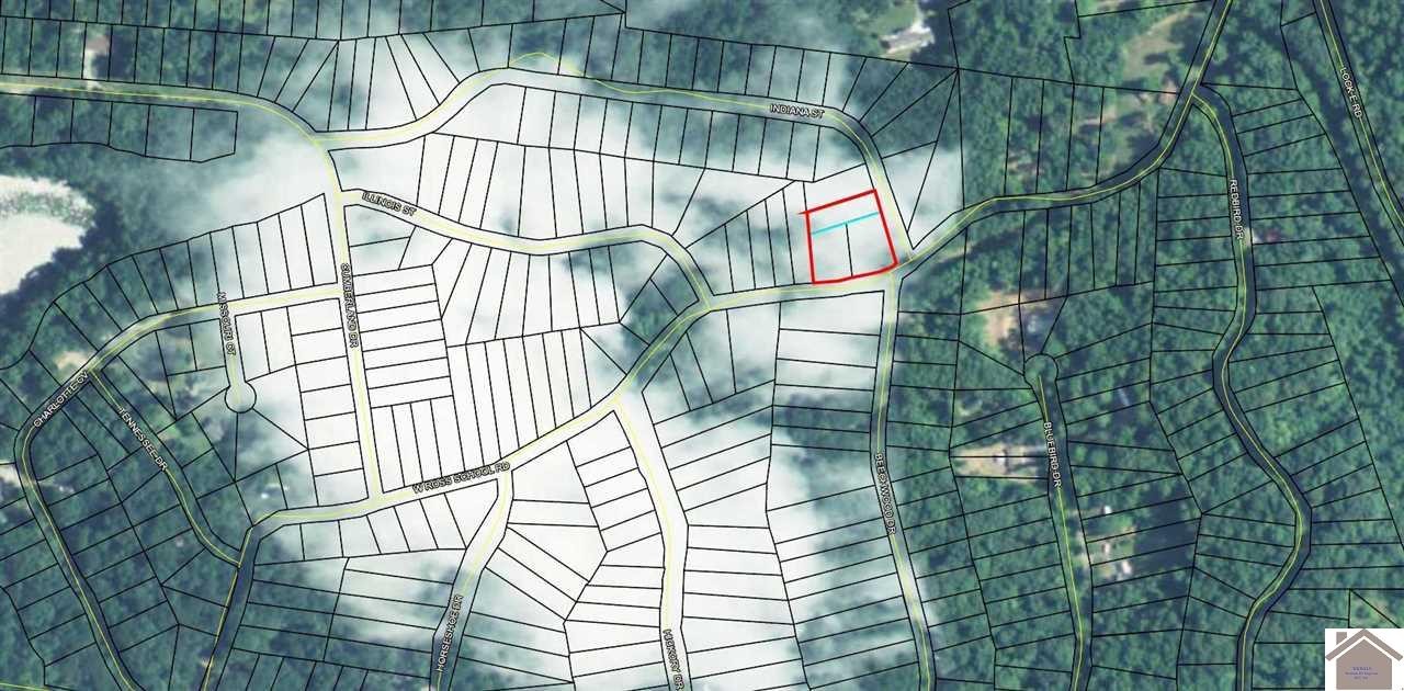 Other - Lots 197-199 W Ross School Road, Cadiz, KY