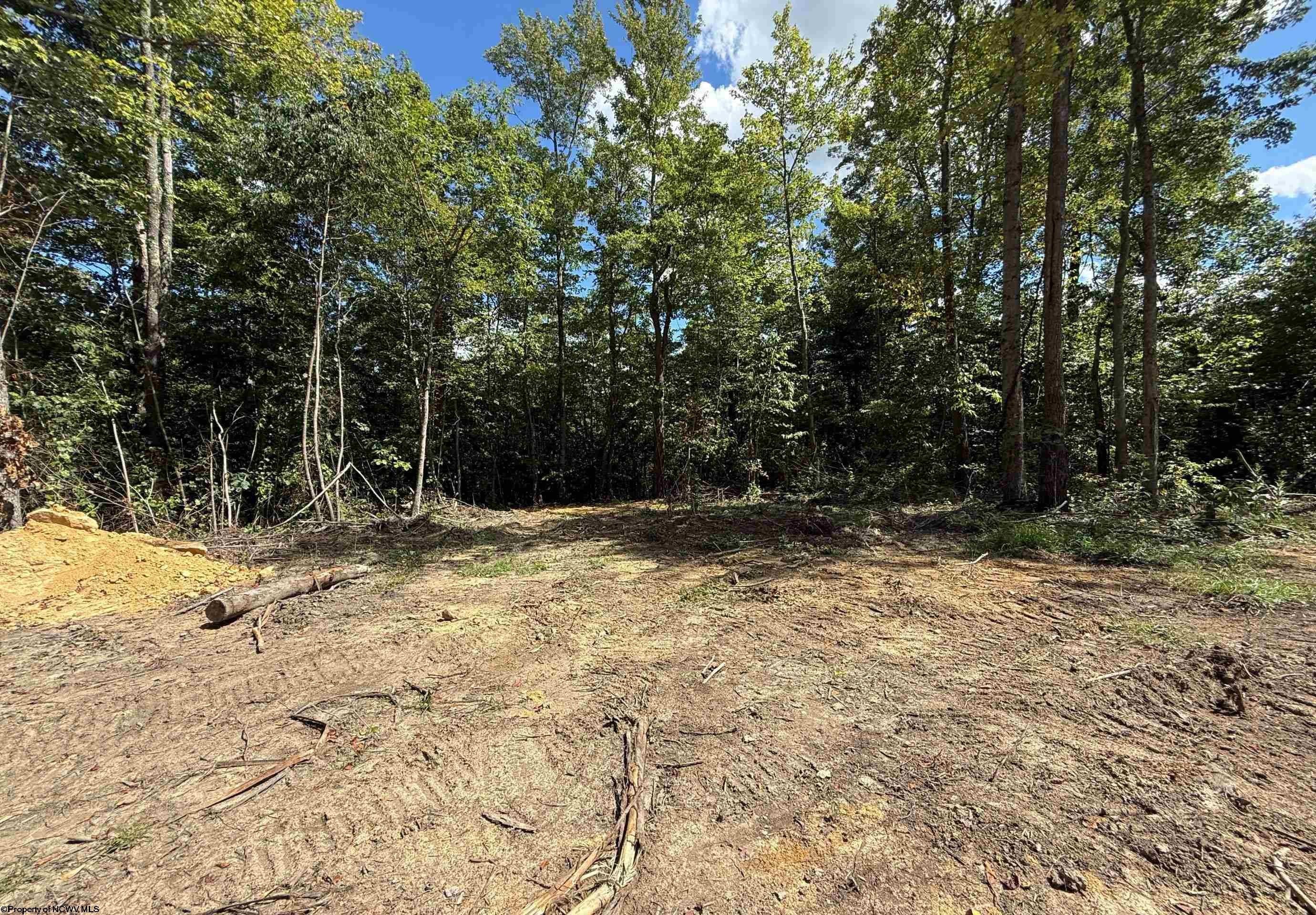 Other - Lot 3 Brooklyn Way, Moatsville, WV