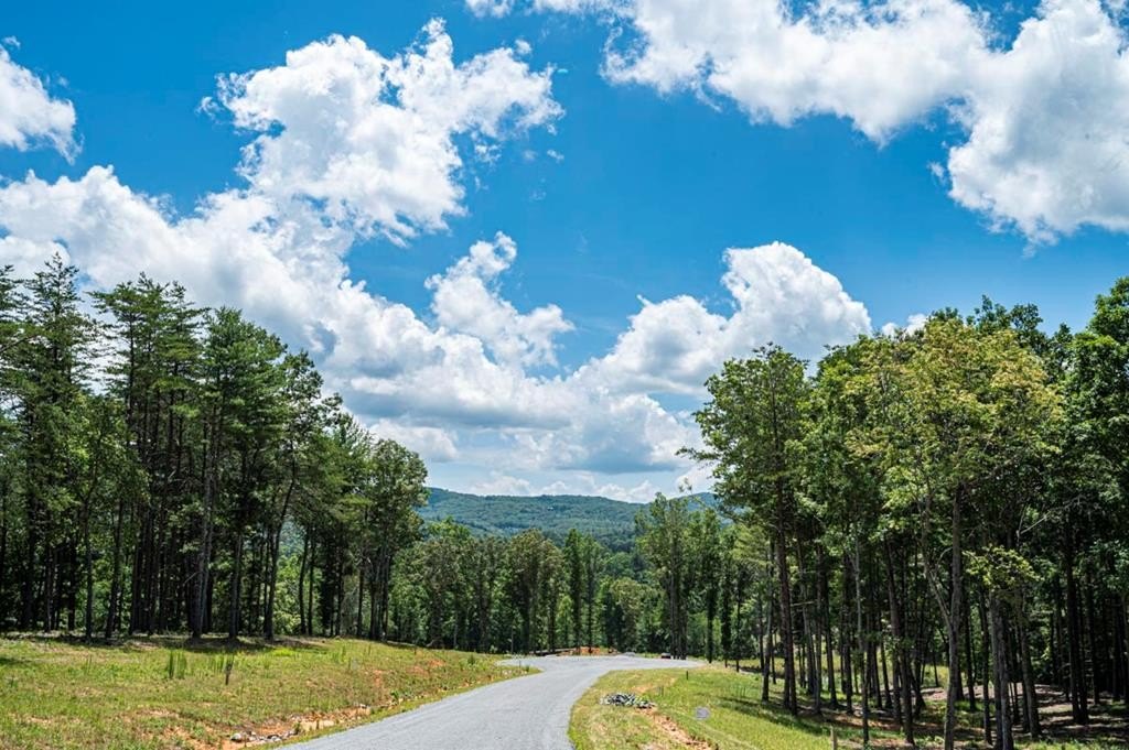Other - Lt 151 The Ridges, Morganton, GA