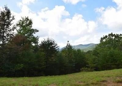 Other - 114 Blackhawk Lane, Turtletown, TN
