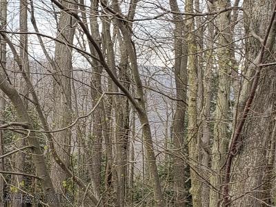 Other - 193-L Ridge Run Road, Claysburg, PA