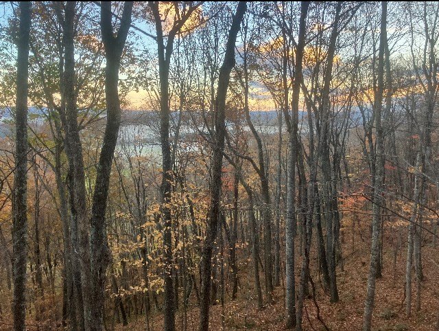 Other - 437 Shelor Rd SW lot: 0, Meadows of Dan, VA