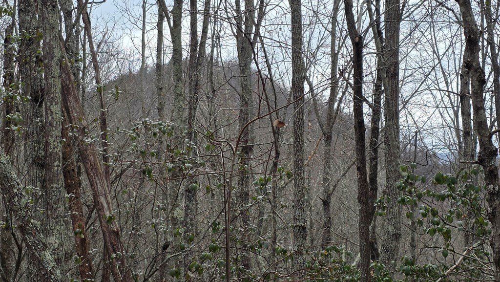 Other - 35AC Ducks Nest Road, Turtletown, TN