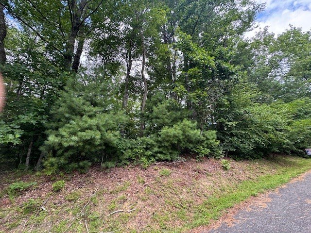 Other - Antler Point lot: 14 , 15, Hillsville, VA