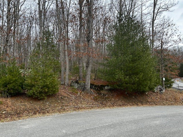 Other - 102 MILLSAP PLACE, DANIELS, WV