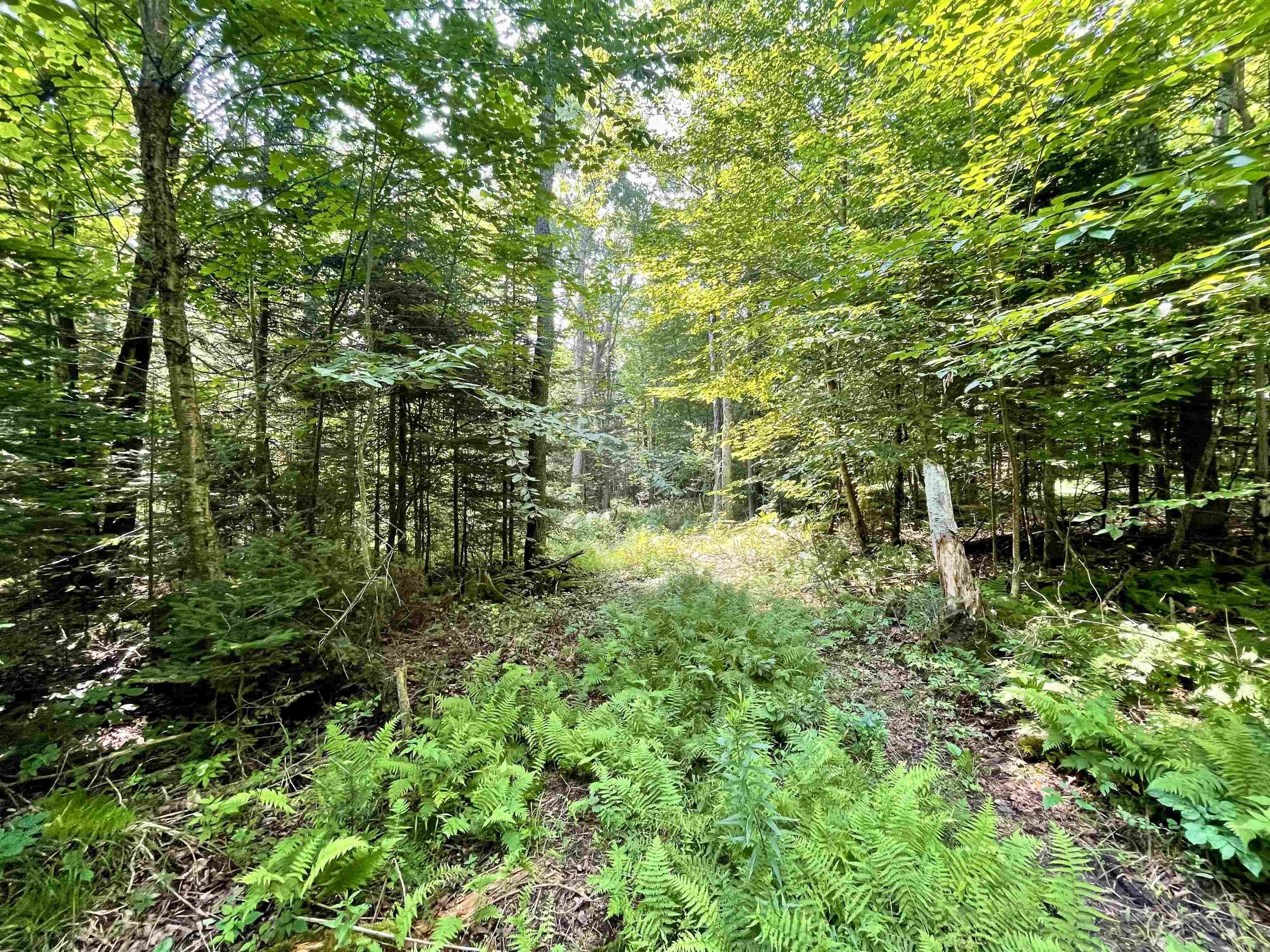 Other - 00 Peene Hill Road, Westmore, VT