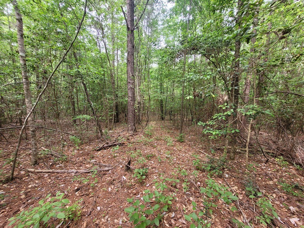 Manufactured Housing 4BR 2BA - 51 County Road 355, Heidelberg, MS