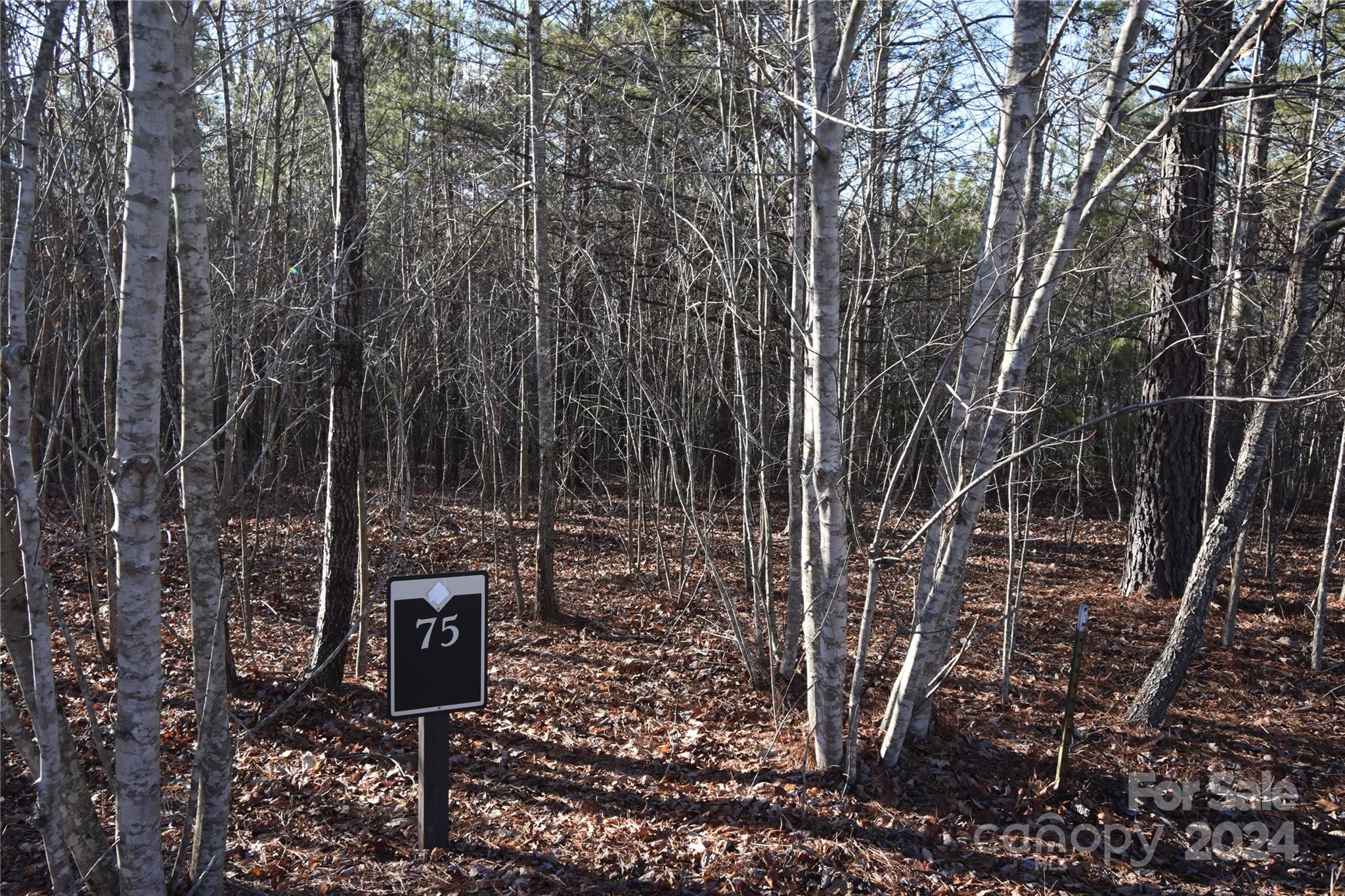 Other - Tayberry Drive lot: 75, Nebo, NC