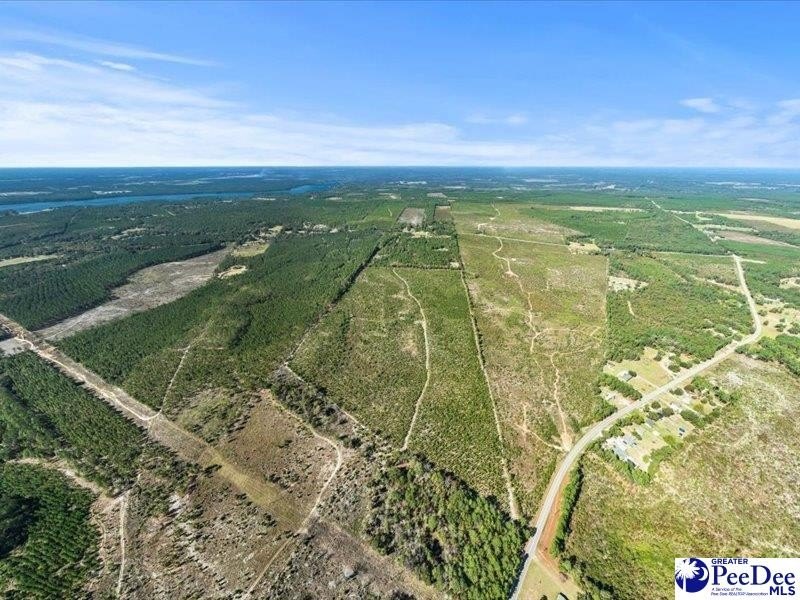 Other - Ruby Rd (87.15 acres), Hartsville, SC
