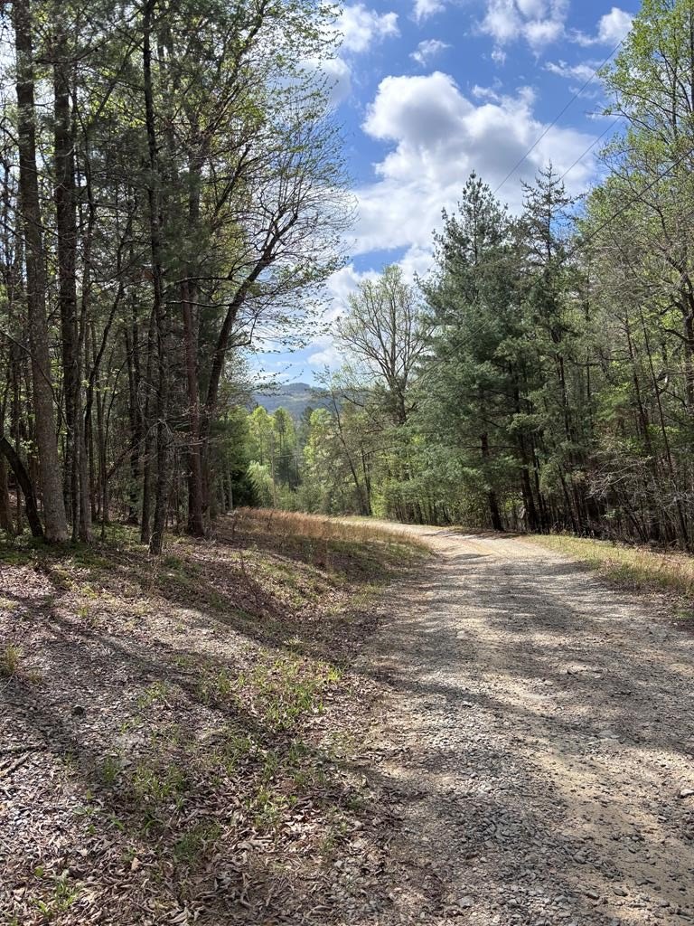 Other - 140 Hounds Run Ln, MURPHY, NC