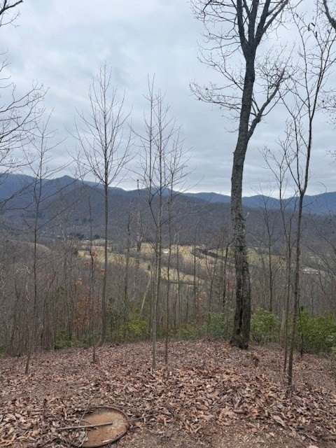 Other - Ethan Ridge, Hayesville, NC